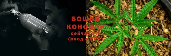 трава Аркадак