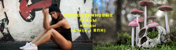 герыч Арсеньев