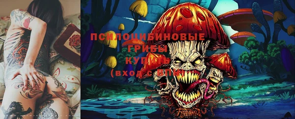 герыч Арсеньев