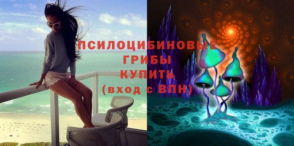 герыч Арсеньев