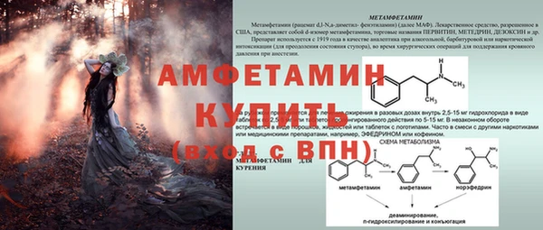 трава Аркадак